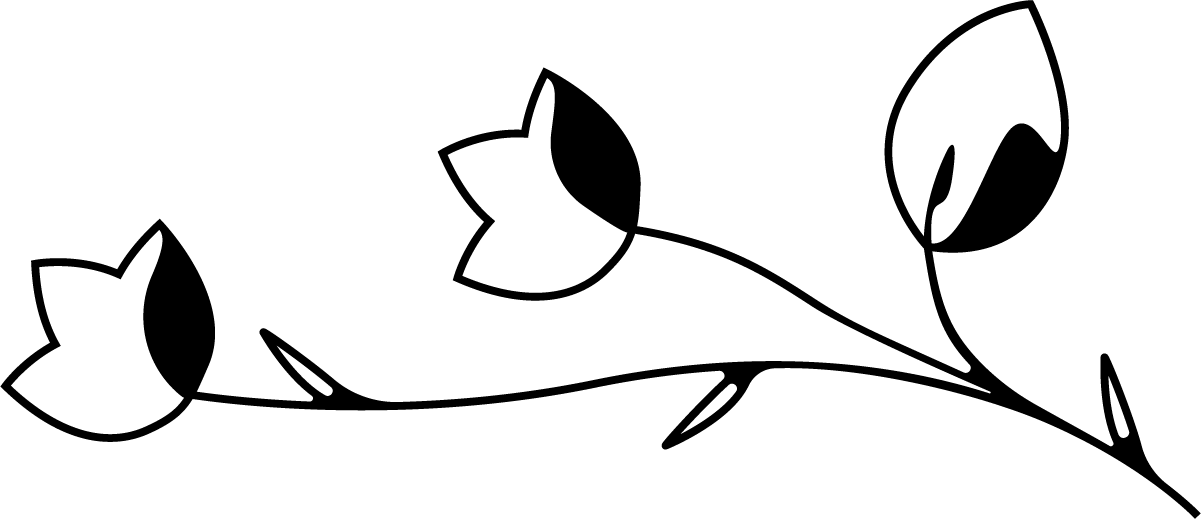 Elemento decorativo 1