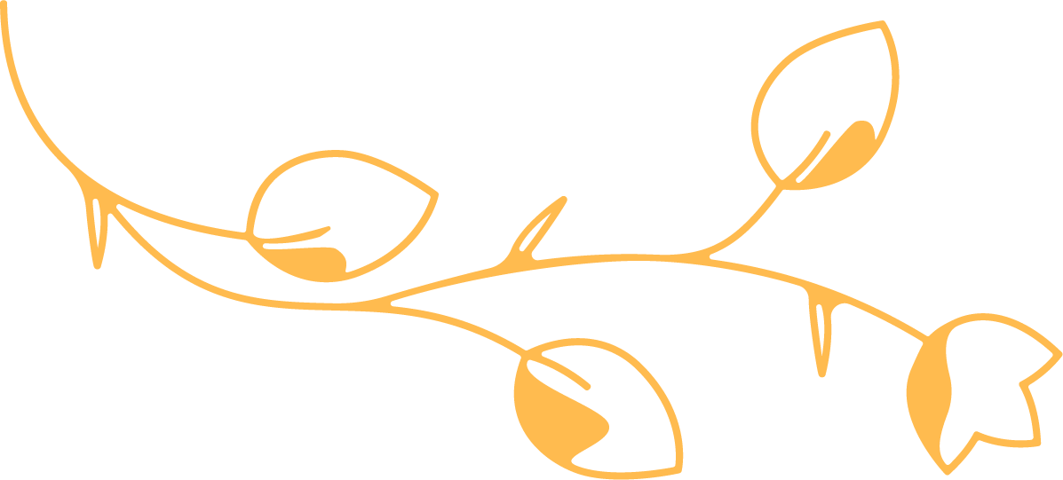 Elemento decorativo 2
