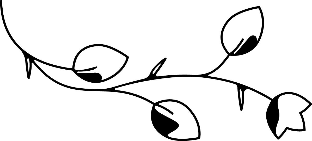 Elemento decorativo 2