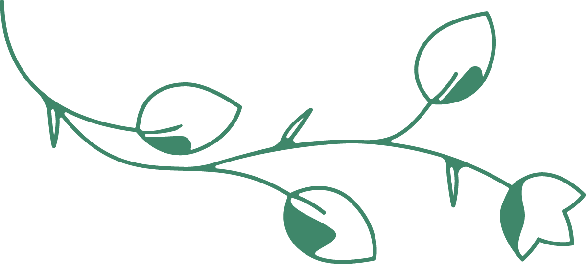 Elemento decorativo 2